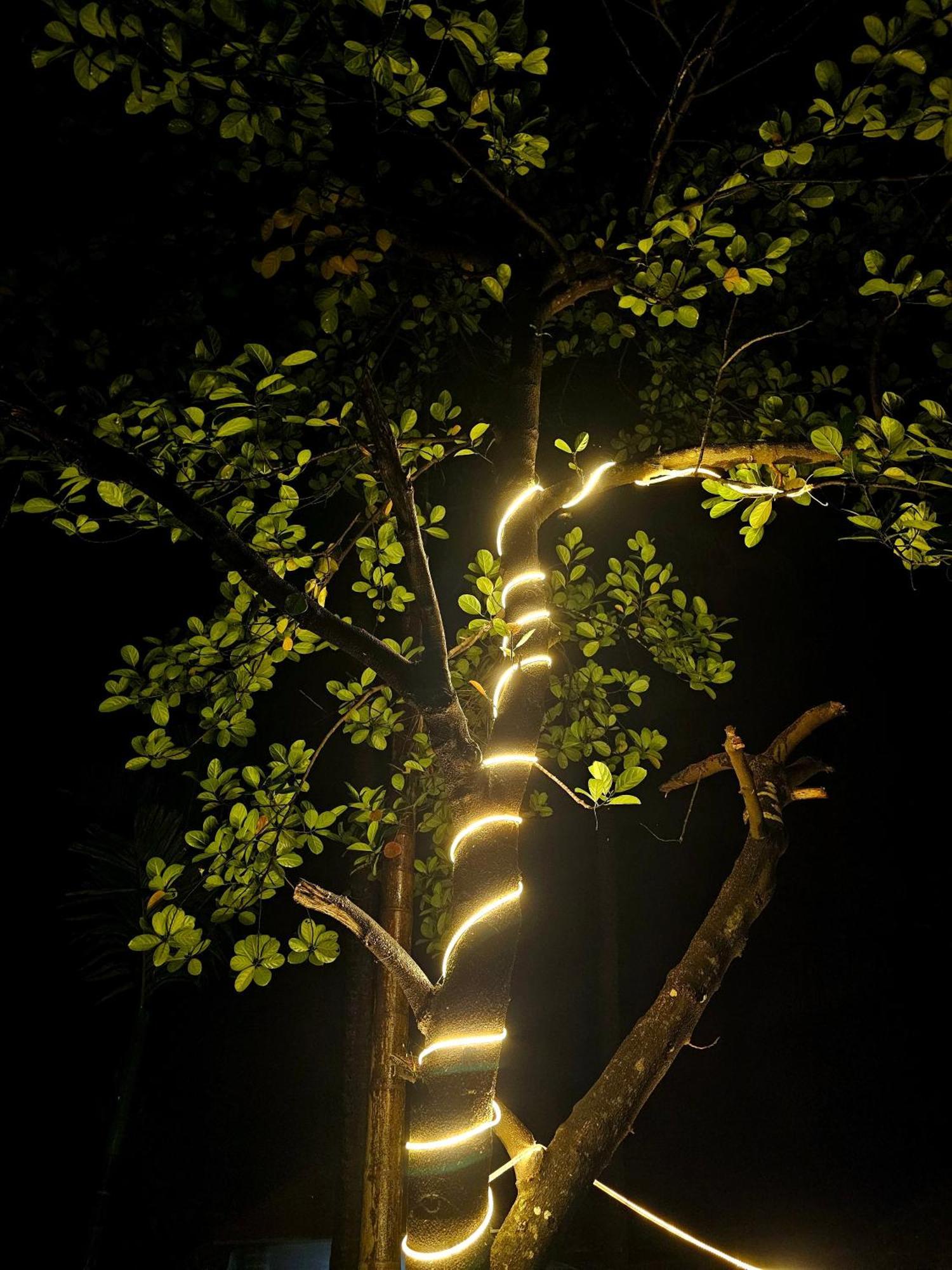 The Beachwalk Stay - Your Pathway To The Beach Gokarna  Exterior photo